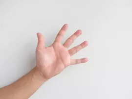 Cómo se puede dar un buen apresto al barco antes de zarpar