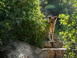 Qué actividades ofrece la reserva de Sardenya para disfrutar del hermoso claror de la isla