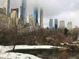 Qué actividades se realizan en el Día del Santo Fernando