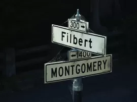 Por qué Francisco Marto fue elegido como el santo patrón de los niños enfermos