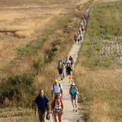 Cómo podemos preparar el camino al señor de la mejor manera posible