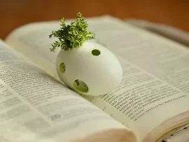 Qué os bendiga Dios