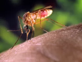 Qué hace que la taza rebose de agua si solo la llené hasta la mitad