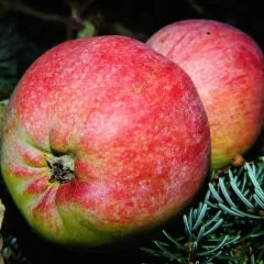 Qué importancia tienen los sacramentos del orden sacerdotal en la vida de un sacerdote