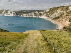 Cómo se celebra la festividad de San Fabian