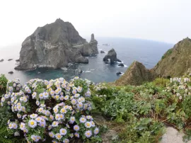 Por qué estudias los tesoros de la Biblia de esta semana