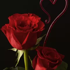 Por qué es importante pedir al Espíritu Santo que llene nuestros corazones