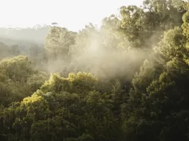 Qué significa para ti la virgen de la ascensión