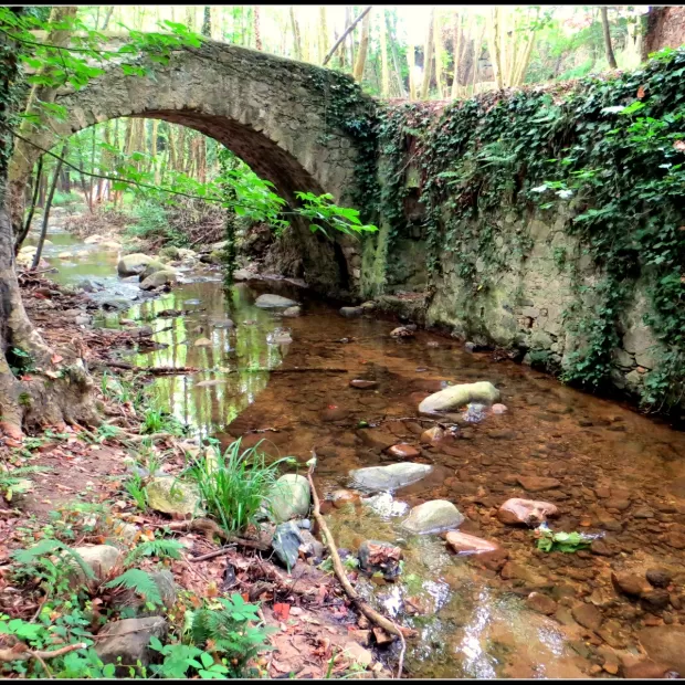 afluente del esla