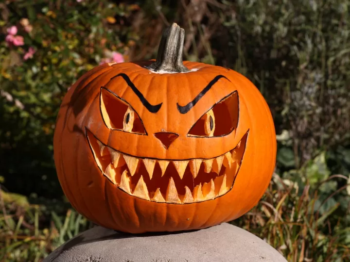 allariz halloween