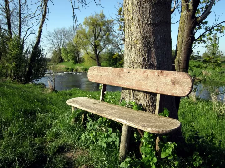 banc de recursos