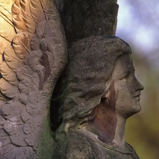 benditas almas del purgatorio oración que libera 1000 almas