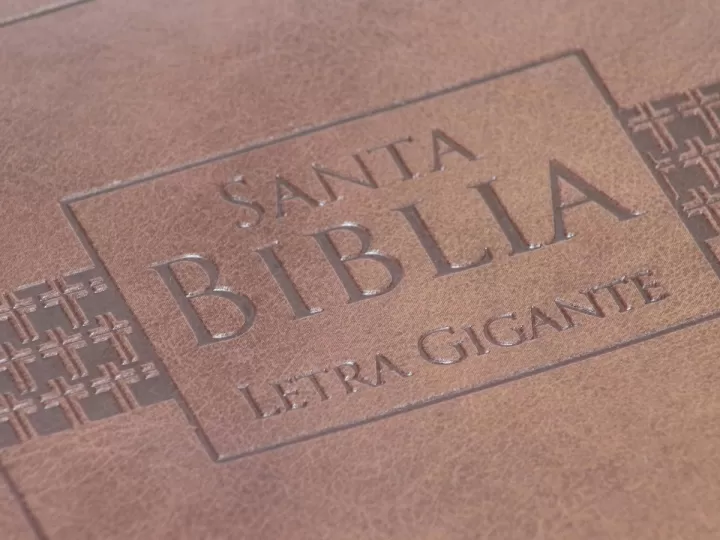 cuantos libros tiene la biblia reina valera 1960