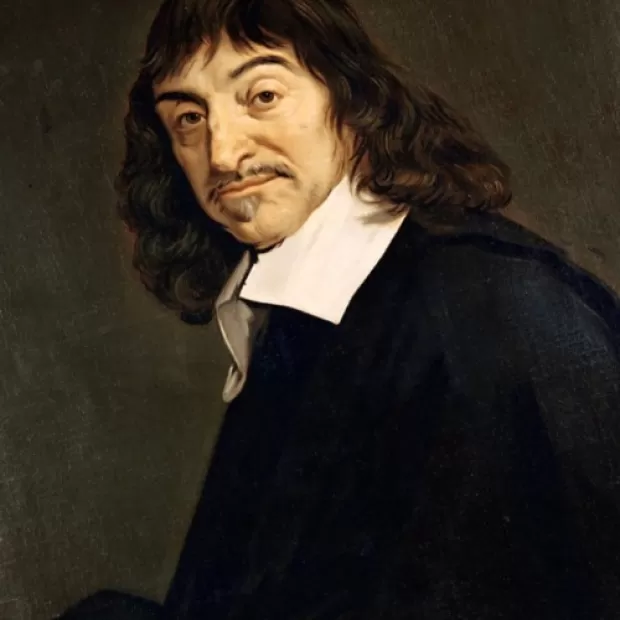 Cultura del descarte Wikipedia