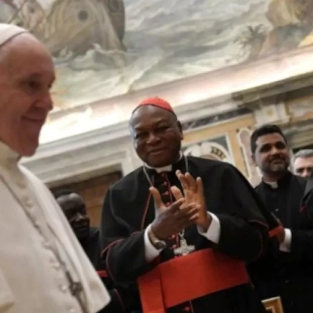 Cultura del descarte Wikipedia