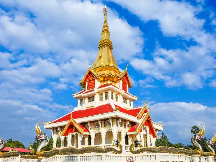 discipula significado