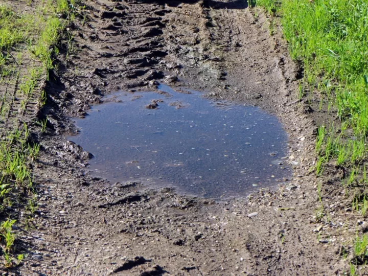 el charco de la pringue