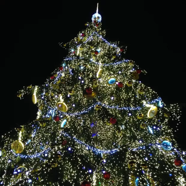 el tiempo en tabuyo del monte