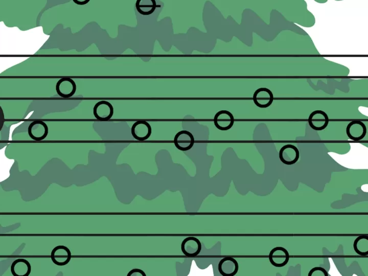 evangelio 20 octubre 2023