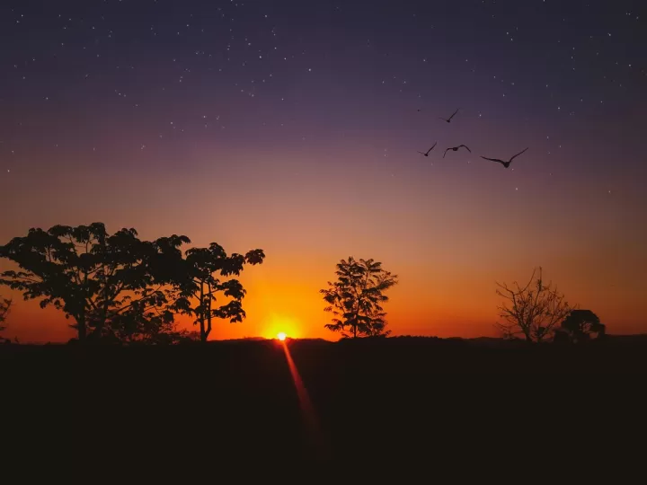 felipe gonzález helguera