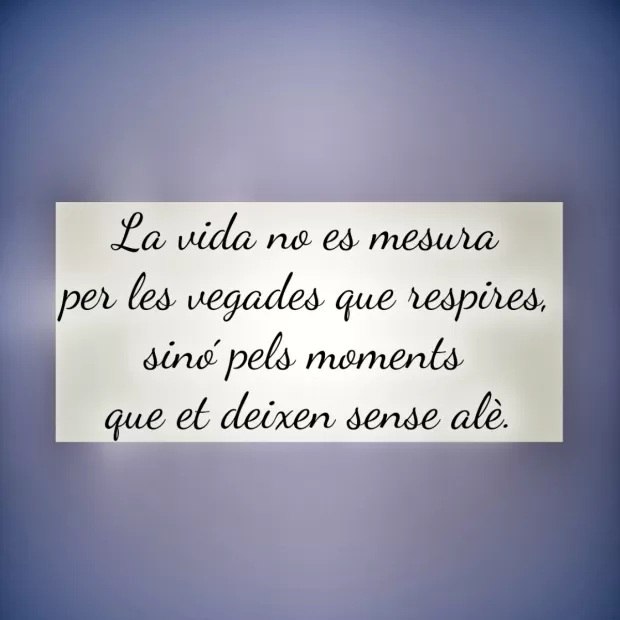 frase sobre la honestidad
