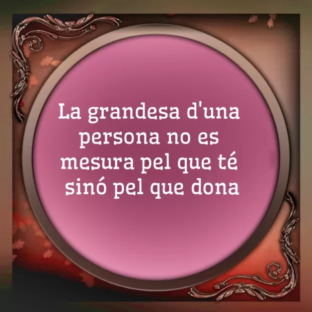 frases de suegra a nuera