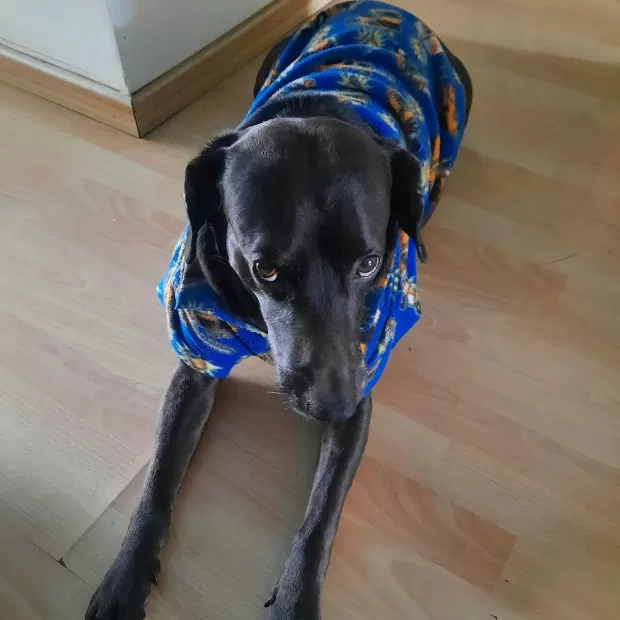 horario de misas en león hoy