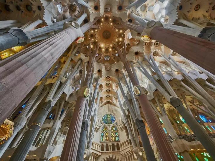 misa sagrada familia hoy