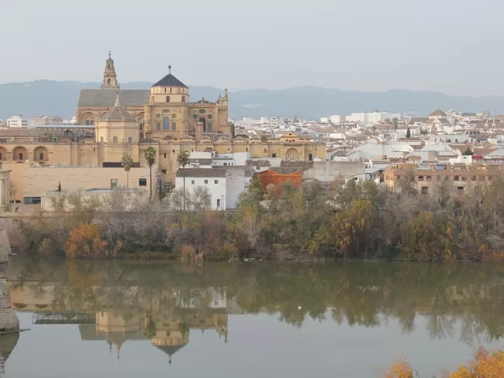misas cordoba horario