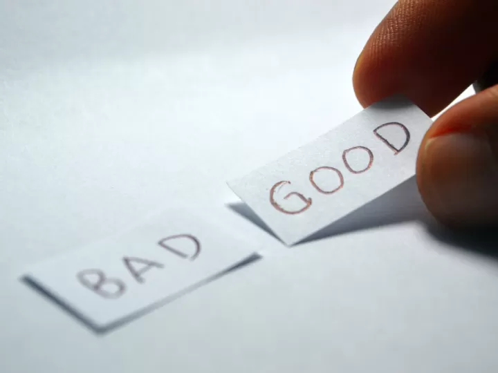 oh que bueno las palmas