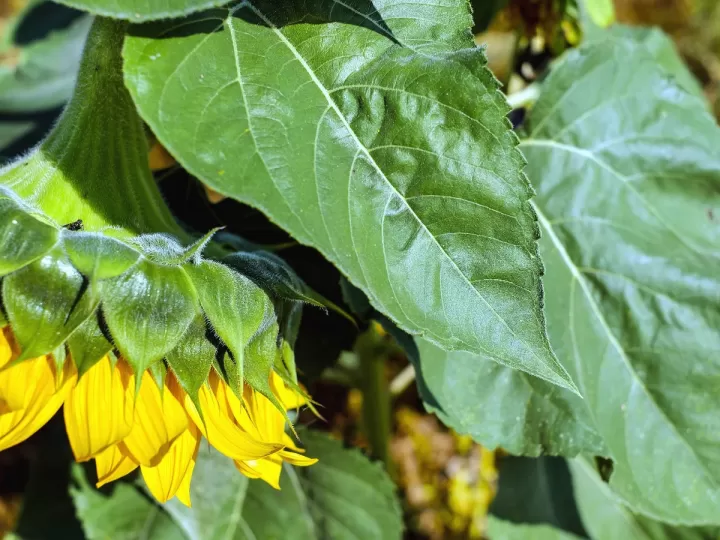 porque los del opus dei tienen dinero