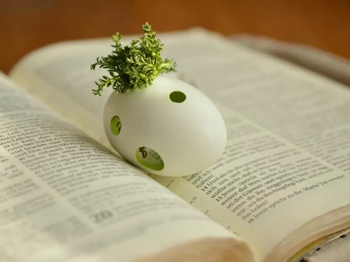 reniega de la fe cristiana