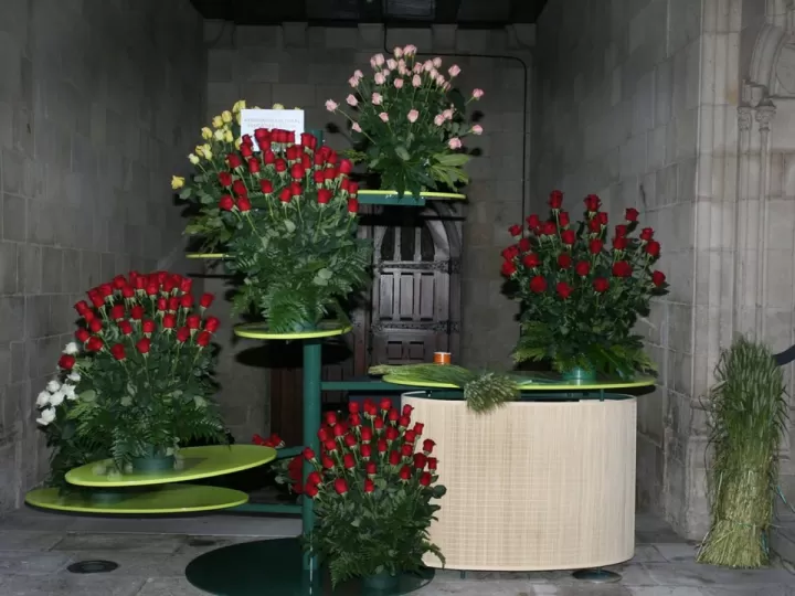 titelles sant jordi