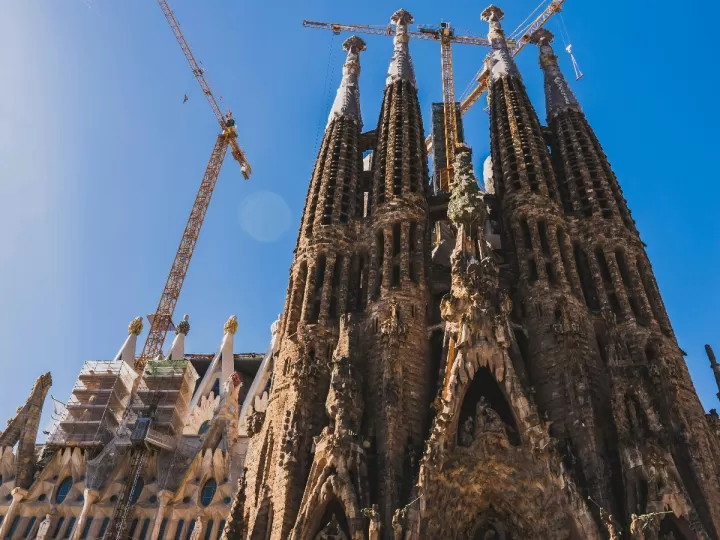 transexuales sagrada familia