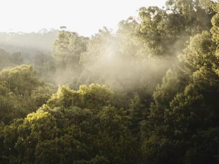 virgen de la ascensión