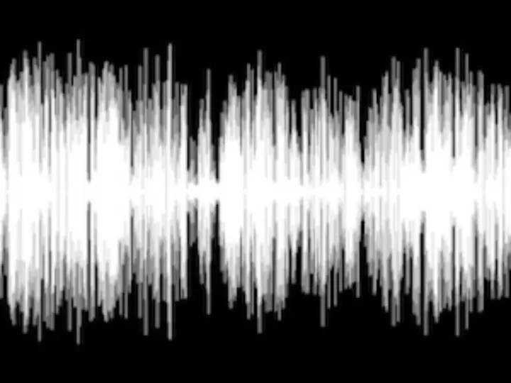 y el verbo se hizo carne